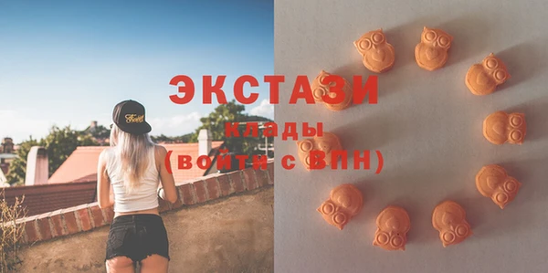 2c-b Ельня