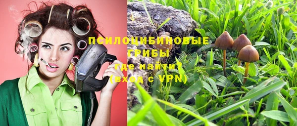 ГАЛЛЮЦИНОГЕННЫЕ ГРИБЫ Алексеевка