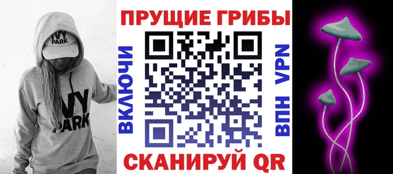 Псилоцибиновые грибы прущие грибы  что такое   Мураши 